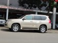 Lexus GX460 2011 màu vàng 2011 - Lexus GX460 2011 màu vàng