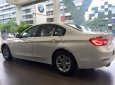 BMW 3 Series 320i 2017 - Cần bán BMW 3 Series 320i sản xuất 2017, màu trắng, nhập khẩu