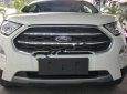 Ford EcoSport Titanium 2018 - Bán ô tô Ford EcoSport Titanium sản xuất 2018, màu trắng, 648tr