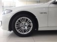 BMW 5 Series 520i 2014 - Cần bán xe BMW 5 Series 520i năm sản xuất 2014, màu trắng, nhập khẩu nguyên chiếc