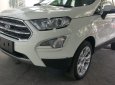 Ford EcoSport Titanium 2018 - Bán ô tô Ford EcoSport Titanium sản xuất 2018, màu trắng, 648tr