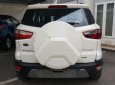 Ford EcoSport Titanium 2018 - Bán ô tô Ford EcoSport Titanium sản xuất 2018, màu trắng, 648tr