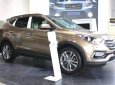 Hyundai Santa Fe 2018 - Bán Hyundai Santa Fe đời 2018, màu nâu