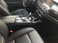 BMW 5 Series 520i 2014 - Bán BMW 5 Series 520i năm 2014, màu đen, xe nhập