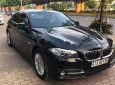 BMW 5 Series 520i 2014 - Bán BMW 5 Series 520i năm 2014, màu đen, xe nhập