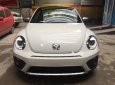 Volkswagen Beetle Dune 2017 - Cần bán Volkswagen Beetle Dune đời 2017, màu trắng, xe nhập