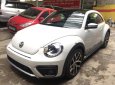 Volkswagen Beetle Dune 2017 - Cần bán Volkswagen Beetle Dune đời 2017, màu trắng, xe nhập