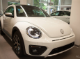 Volkswagen New Beetle Dune 2018 - Bán xe Volkswagen New Beetle Dune đời 2018, màu trắng, nhập khẩu