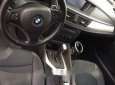 BMW X1 2010 - Cần bán BMW X1 sản xuất năm 2010, giá tốt