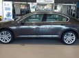 Volkswagen Passat 2017 - Bán xe Volkswagen Passat sedan hạng D xe Đức nhập khẩu nguyên chiếc chính hãng mới 100% giá rẻ. LH 0933 365 188