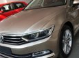 Volkswagen Passat Bluemotion 2017 - Bán xe Volkswagen Passat sedan phân khúc D xe Đức nhập khẩu chính hãng mới 100% giá rẻ. LH 0933 365 188