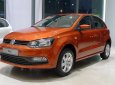 Volkswagen Polo   2017 - Bán xe Volkswagen Polo Hatchback 5 chỗ, xe Đức nhập nguyên chiếc chính hãng giá rẻ mới 100%. LH 0933 365 188