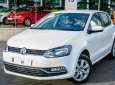 Volkswagen Polo 2017 - Bán xe Volkswagen Polo Hatchback xe Đức nhập khẩu nguyên chiếc mới 100% giá rẻ