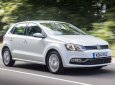 Volkswagen Polo 2017 - Bán xe Volkswagen Polo Hatchback xe Đức nhập khẩu nguyên chiếc mới 100% giá rẻ