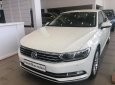 Volkswagen Passat 2017 - Bán xe Volkswagen Passat sedan phân khúc D xe Đức nhập khẩu chính hãng mới 100% giá rẻ