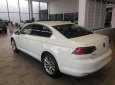 Volkswagen Passat 2017 - Bán xe Volkswagen Passat sedan phân khúc D xe Đức nhập khẩu chính hãng mới 100% giá rẻ