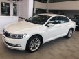 Volkswagen Passat 2017 - Bán xe Volkswagen Passat sedan phân khúc D xe Đức nhập khẩu chính hãng mới 100% giá rẻ