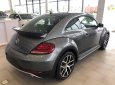 Volkswagen Beetle 2017 - Bán xe Volkswagen Beetle Dune coupe 2 cửa xe Đức nhập khẩu chính hãng mới 100% giá tốt