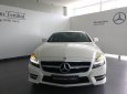 Mercedes-Benz CL class CLS350 2014 - Bán Mercedes-Benz CLS350 đã qua sử dụng, chính hãng tốt nhất