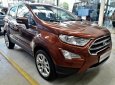 Ford EcoSport 1.0 Ecoboost Titanium+ 2018 - Bán ô tô Ford EcoSport 1.0 Ecoboost Titanium+ 2018, màu nâu, giá 689tr