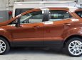 Ford EcoSport 1.0 Ecoboost Titanium+ 2018 - Bán ô tô Ford EcoSport 1.0 Ecoboost Titanium+ 2018, màu nâu, giá 689tr