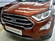 Ford EcoSport 1.0 Ecoboost Titanium+ 2018 - Bán ô tô Ford EcoSport 1.0 Ecoboost Titanium+ 2018, màu nâu, giá 689tr