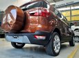 Ford EcoSport 1.0 Ecoboost Titanium+ 2018 - Bán ô tô Ford EcoSport 1.0 Ecoboost Titanium+ 2018, màu nâu, giá 689tr