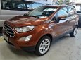 Ford EcoSport 1.0 Ecoboost Titanium+ 2018 - Bán ô tô Ford EcoSport 1.0 Ecoboost Titanium+ 2018, màu nâu, giá 689tr