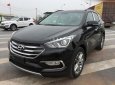 Hyundai Santa Fe 2018 - Bán ô tô Hyundai Santa Fe đời 2018, màu đen