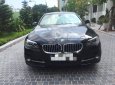 BMW 5 Series 520i 2015 - Bán ô tô BMW 5 Series 520i năm 2015, màu đen, xe nhập