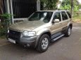 Ford Escape AT 2004 - Cần bán xe Ford Escape AT sản xuất năm 2004