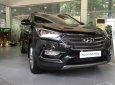 Hyundai Santa Fe 2018 - Bán ô tô Hyundai Santa Fe đời 2018, màu đen