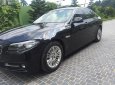 BMW 5 Series 520i 2015 - Bán ô tô BMW 5 Series 520i năm 2015, màu đen, xe nhập