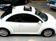 Volkswagen Beetle 2008 - Cần bán rẻ Siêu xe Volkswagen Beetle ĐK 2008, nhập khẩu. Chỉ 428tr