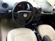 Volkswagen Beetle 2008 - Cần bán rẻ Siêu xe Volkswagen Beetle ĐK 2008, nhập khẩu. Chỉ 428tr