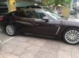 Porsche Panamera 2014 - Bán Porsche Panamera đời 2014, màu nâu, nhập khẩu