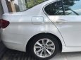 BMW 5 Series 523i 2010 - Cần bán lại xe BMW 5 Series 523i 2.5L 2010, màu trắng, xe nhập