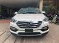 Hyundai Santa Fe 2018 - Bán xe Hyundai Santa Fe sản xuất năm 2018, màu trắng, giá tốt