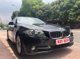 BMW 5 Series 520i 2015 - Bán xe BMW 5 Series đời 2015, màu đen, xe nhập