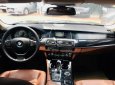 BMW 5 Series 528i 2013 - Bán ô tô BMW 5 Series 528i sản xuất năm 2013, màu đen, nhập khẩu nguyên chiếc