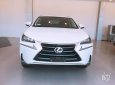 Lexus NX 200T 2016 - Giao ngay xe mới nhập khẩu Mỹ Lexus NX200T