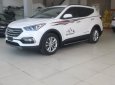 Hyundai Santa Fe 2018 - Cực độc giao xe Santafe dầu, tiêu chuẩn trắng giao ngay