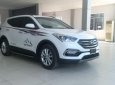 Hyundai Santa Fe 2018 - Cực độc giao xe Santafe dầu, tiêu chuẩn trắng giao ngay