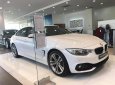 BMW 4 Series 2017 - Bán ô tô BMW 4 Series 2017, màu trắng, nhập khẩu- 0901214555