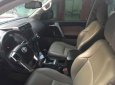 Toyota Land Cruiser Prado 4.0 VXL 2010 - Bán xe Toyota Prado 4.0 VXL năm sản xuất 2010, màu trắng, chính chủ