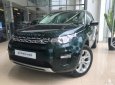 LandRover Discovery Sport HSE 2017 - Cần bán LandRover Discovery Sport HSE đời 2017, màu đen, xe nhập, giá tốt