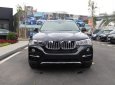 BMW X4 xDriver20i 2017 - Cần bán BMW X4 xDriver20i đời 2017, màu đen, xe nhập, giá tốt