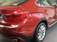 BMW X6 2017 - Bán xe BMW X6 có xe giao ngay đời 2017, màu đỏ, nhập khẩu nguyên chiếc