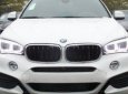 BMW X6 2017 - Cần bán BMW X6 năm sản xuất 2017, màu trắng, nhập khẩu