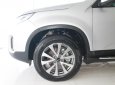 Kia Sorento 2.4 GAT 2017 - (Kia Bà Rịa Vũng Tàu) bán xe Kia Sorento 2.4 GAT 2017, màu đa dạng, giá ưu đãi và nhiều quà tặng hấp dẫn